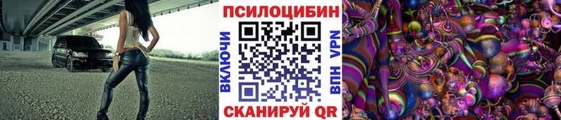 Купить  Брюховецкая  Галлюциногенные грибы прущие грибы 